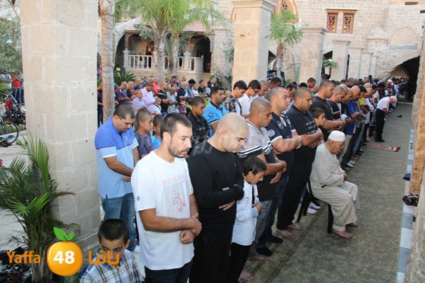 3eed ad7a akber 0510 (28).JPG